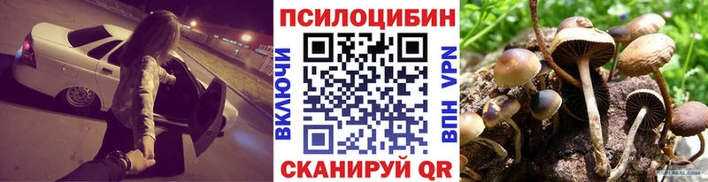 мориарти клад  Сосновый Бор  Псилоцибиновые грибы Psilocybine cubensis 